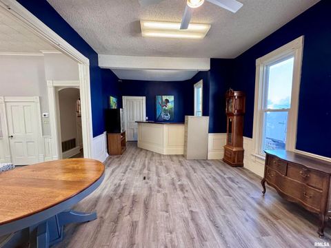 Tiny photo for 1415 4TH Street, Fulton, IL 61252 (MLS # QC4267761)