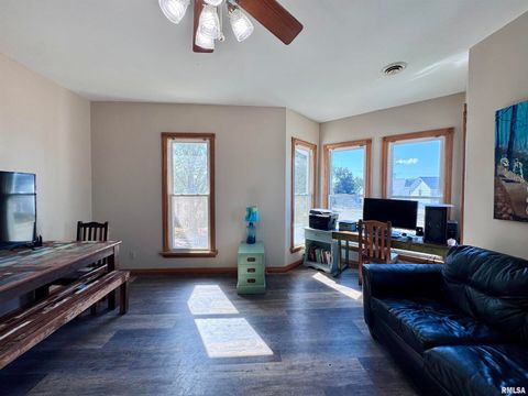 Tiny photo for 1415 4TH Street, Fulton, IL 61252 (MLS # QC4267761)