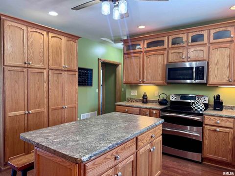 Tiny photo for 1415 4TH Street, Fulton, IL 61252 (MLS # QC4267761)