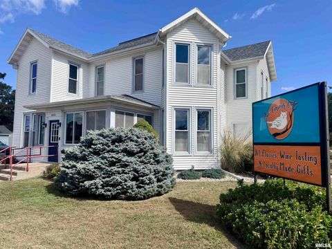 Tiny photo for 1415 4TH Street, Fulton, IL 61252 (MLS # QC4267761)