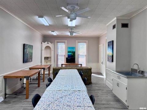 Tiny photo for 1415 4TH Street, Fulton, IL 61252 (MLS # QC4267761)