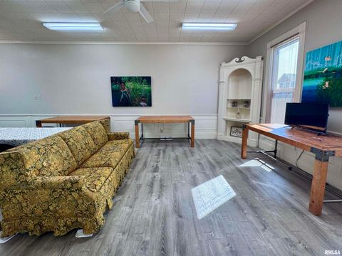 Tiny photo for 1415 4TH Street, Fulton, IL 61252 (MLS # QC4267761)