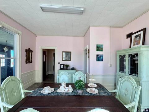 Tiny photo for 1415 4TH Street, Fulton, IL 61252 (MLS # QC4267761)