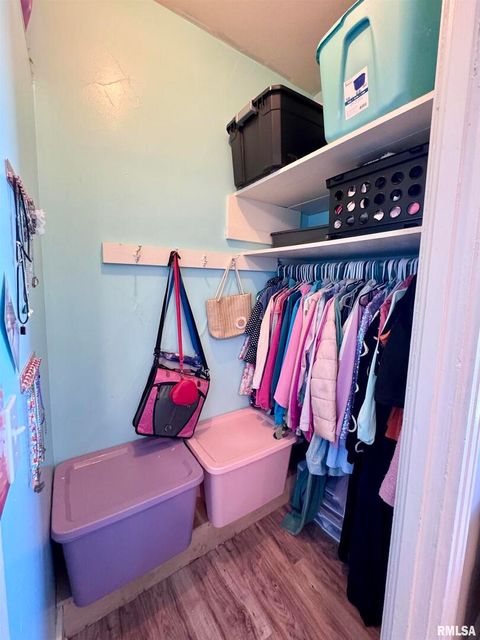 Tiny photo for 1415 4TH Street, Fulton, IL 61252 (MLS # QC4267761)