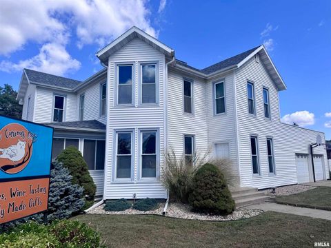 Tiny photo for 1415 4TH Street, Fulton, IL 61252 (MLS # QC4267761)