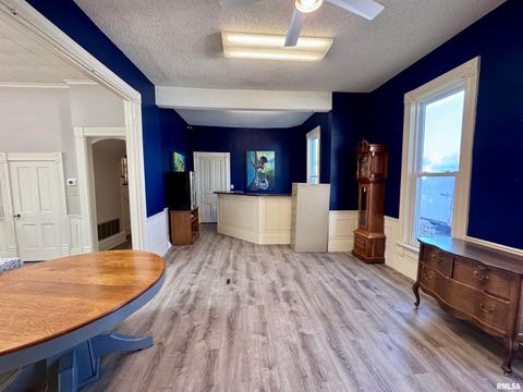 Tiny photo for 1415 4TH Street, Fulton, IL 61252 (MLS # QC4267761)