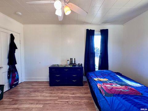 Tiny photo for 1415 4TH Street, Fulton, IL 61252 (MLS # QC4267761)