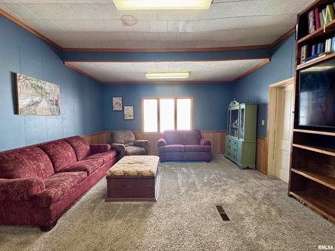 Tiny photo for 1415 4TH Street, Fulton, IL 61252 (MLS # QC4267761)