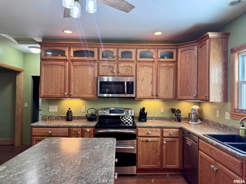 Tiny photo for 1415 4TH Street, Fulton, IL 61252 (MLS # QC4267761)