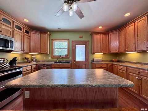 Tiny photo for 1415 4TH Street, Fulton, IL 61252 (MLS # QC4267761)