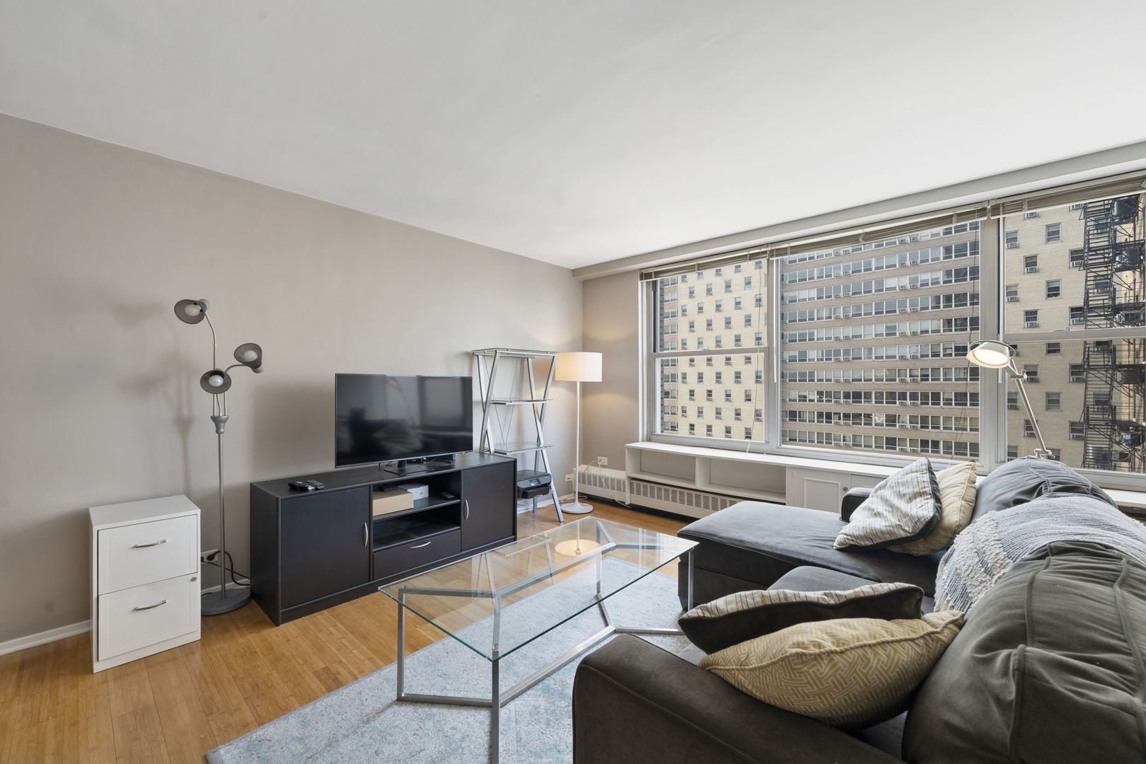 3900 N Lake Shore Drive 13G