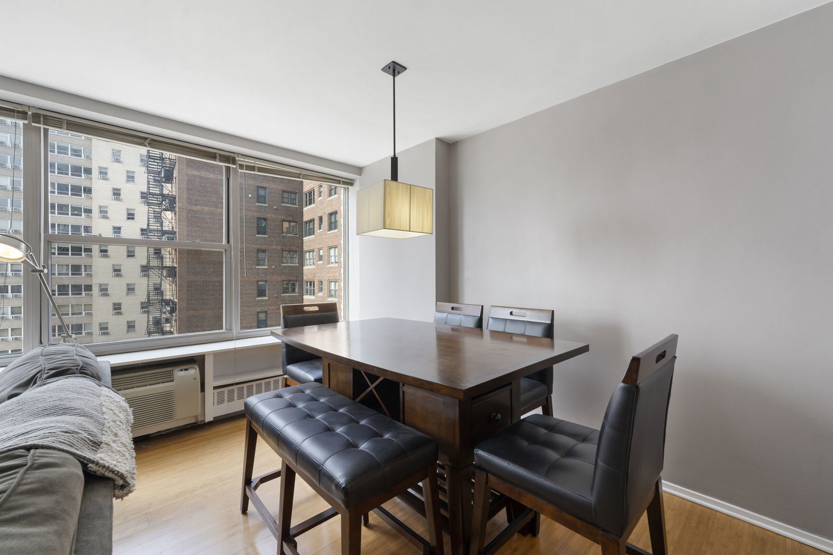 3900 N Lake Shore Drive 13G