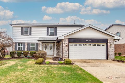Photo of 609 Thames Drive, Schaumburg, IL 60193 (MLS # 12598783)