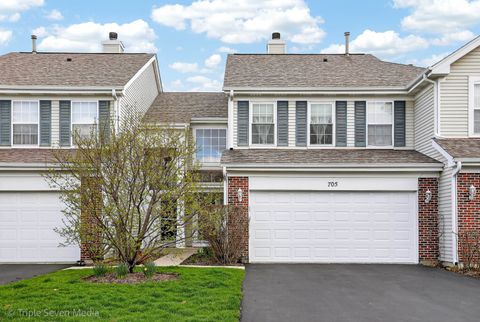 705 Timothy Court, East Dundee, IL 60118 - #: 12612569