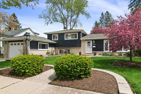 Photo of 117 N Maple Street, Palatine, IL 60067 (MLS # 12569936)