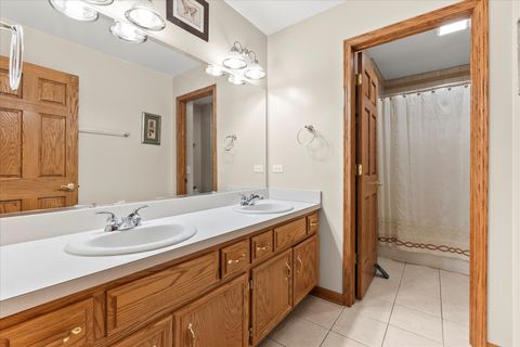 Tiny photo for 26663 S Jacob Drive, Channahon, IL 60410 (MLS # 12486005)