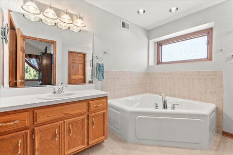 Tiny photo for 26663 S Jacob Drive, Channahon, IL 60410 (MLS # 12486005)