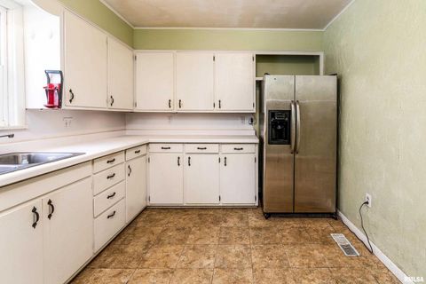 Tiny photo for 1918 KENNEDY Street, Murphysboro, IL 62966 (MLS # QC4269845)