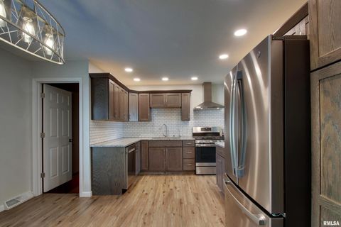 Tiny photo for 1205 DANIEL Court, Quincy, IL 62305 (MLS # QC4268332)