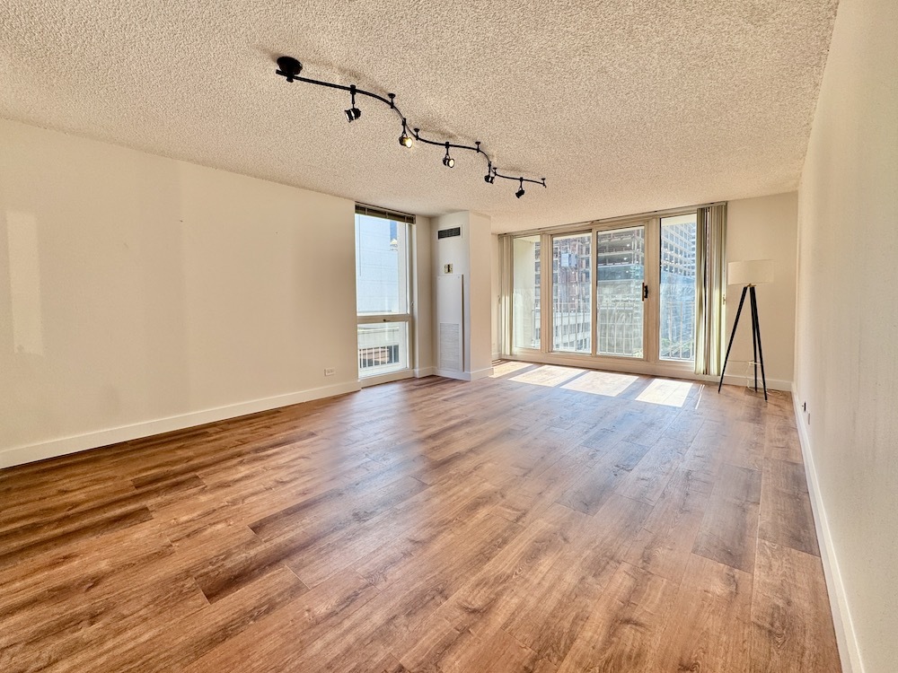 200 N DEARBORN Street 1102