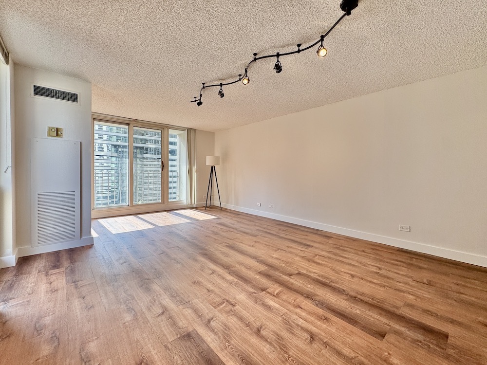 200 N DEARBORN Street 1102