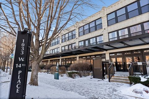 1033 W 14th Place 236 Chicago IL 60608