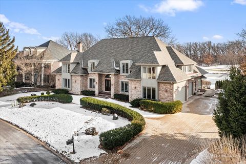 Photo of 10639 Misty Hill Road, Orland Park, IL 60462 (MLS # 12551290)