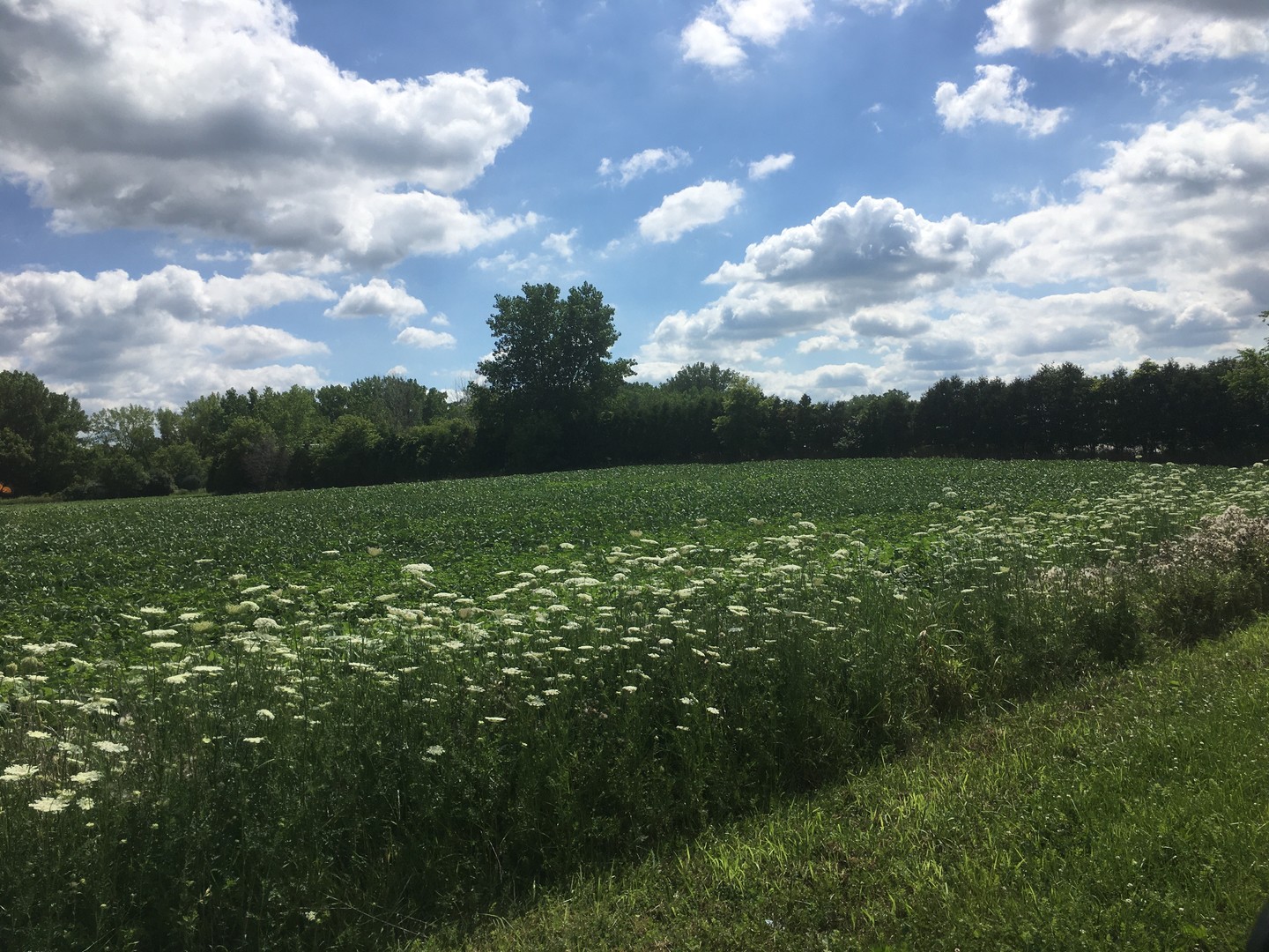 Lot 1A Koppie Road