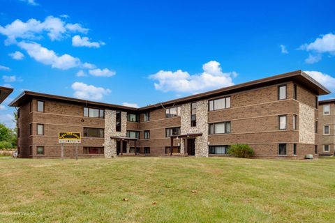 Tiny photo for 6806 Lode Drive #1B, Worth, IL 60482 (MLS # 12492646)