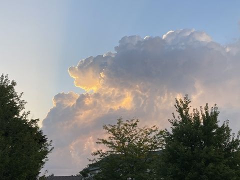 Tiny photo for 611 Paris Avenue, Oswego, IL 60543 (MLS # 12548671)