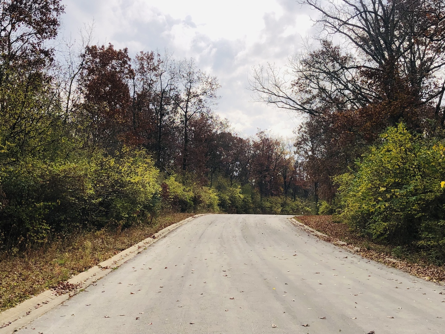 704 Echo (Lot 21) Trail