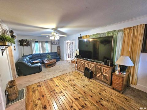 Tiny photo for 1800 FRANKLIN Avenue, Mt Vernon, IL 62864 (MLS # EB458955)