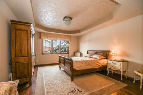 Tiny photo for Frankfort, IL 60423 (MLS # 12441591)