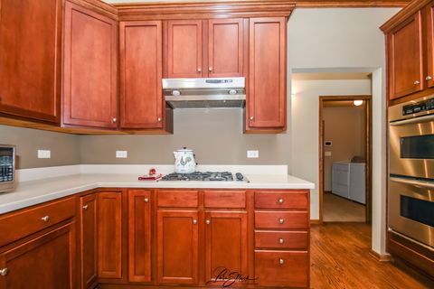 Tiny photo for Frankfort, IL 60423 (MLS # 12441591)