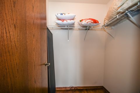 Tiny photo for Frankfort, IL 60423 (MLS # 12441591)