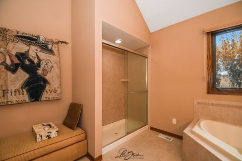 Tiny photo for Frankfort, IL 60423 (MLS # 12441591)