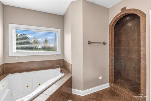 Tiny photo for 13002 Silverleaf Court, Plainfield, IL 60585 (MLS # 12655029)