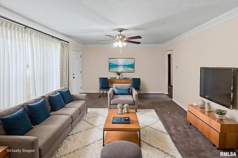 Tiny photo for 8 Ronnies Terrace, Centralia, IL 62801 (MLS # EB460181)