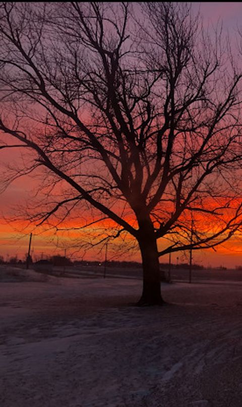 Tiny photo for 2728 W Brooklyn Road, Compton, IL 61318 (MLS # 12549505)