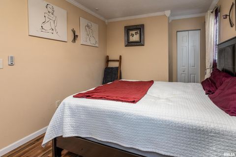 Tiny photo for 701 E CAMPUS Drive, Carbondale, IL 62901 (MLS # EB459237)