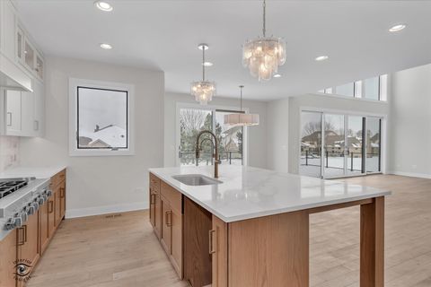 Tiny photo for 20018 Waterview Trail, Frankfort, IL 60423 (MLS # 12604032)