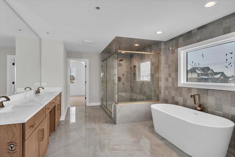 Tiny photo for 20018 Waterview Trail, Frankfort, IL 60423 (MLS # 12604032)