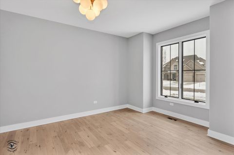 Tiny photo for 20018 Waterview Trail, Frankfort, IL 60423 (MLS # 12604032)