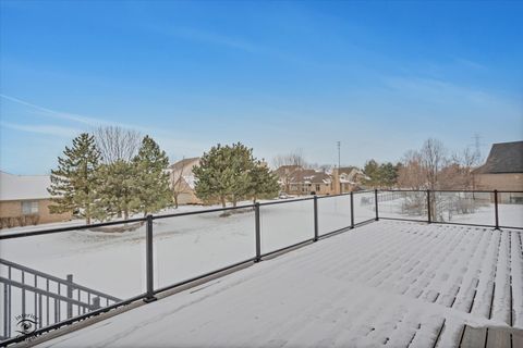 Tiny photo for 20018 Waterview Trail, Frankfort, IL 60423 (MLS # 12604032)