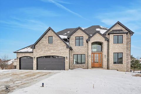 Tiny photo for 20018 Waterview Trail, Frankfort, IL 60423 (MLS # 12604032)