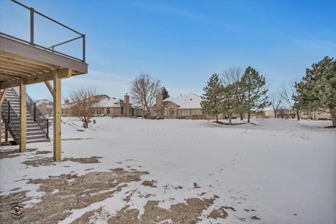 Tiny photo for 20018 Waterview Trail, Frankfort, IL 60423 (MLS # 12604032)