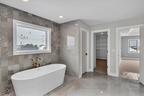 Tiny photo for 20018 Waterview Trail, Frankfort, IL 60423 (MLS # 12604032)