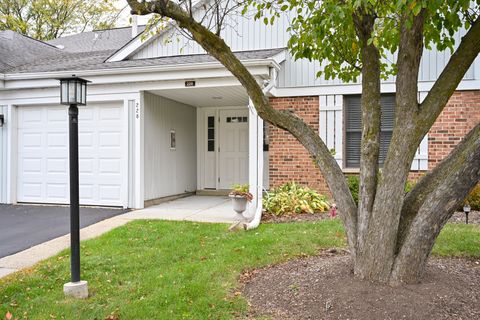 Tiny photo for 228 Arrowwood Court #D1, Schaumburg, IL 60193 (MLS # 12499344)