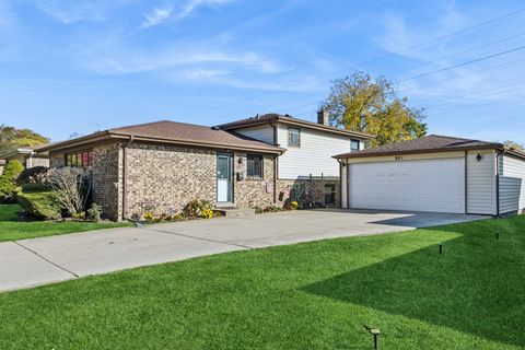 851 Love Street Elk Grove Village IL 60007