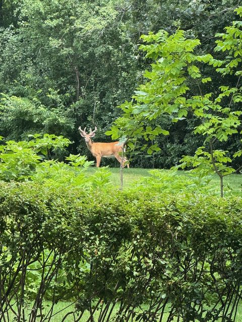 Tiny photo for 22356 W Timberlea Lane, Kildeer, IL 60047 (MLS # 12508486)